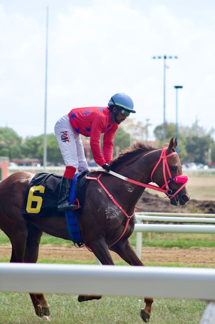 Healthcare Professional Consult