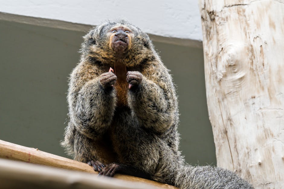 Corporate Office Growth